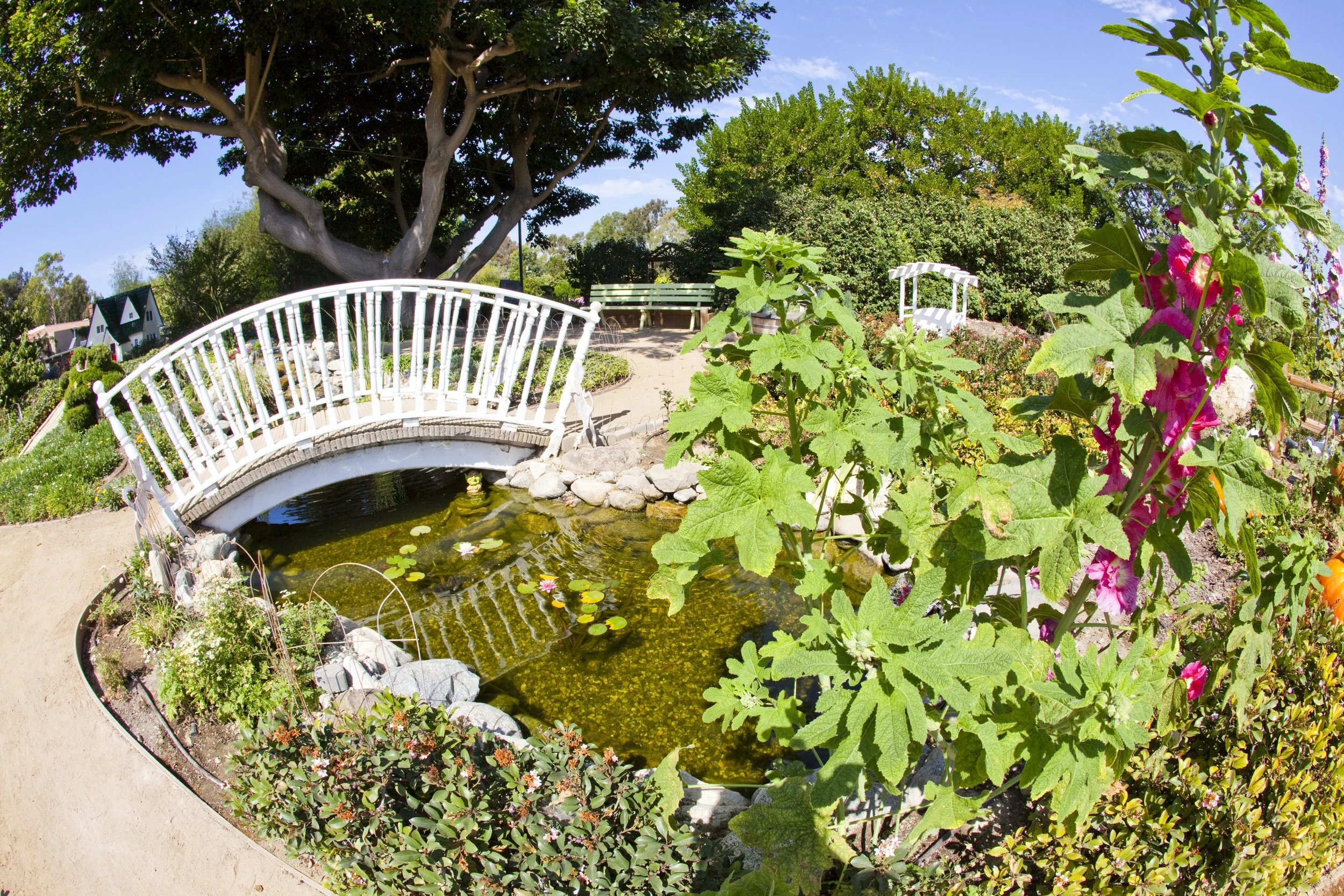 South Coast Botanic Garden’s Pup Patrol
