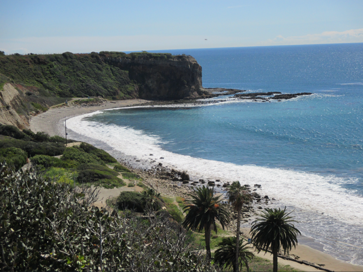 Palos Verdes Land Conservancy Outdoor Volunteer Day