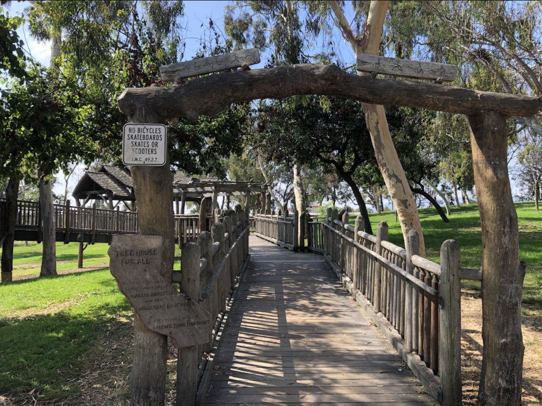 Wilson Park Clean Up