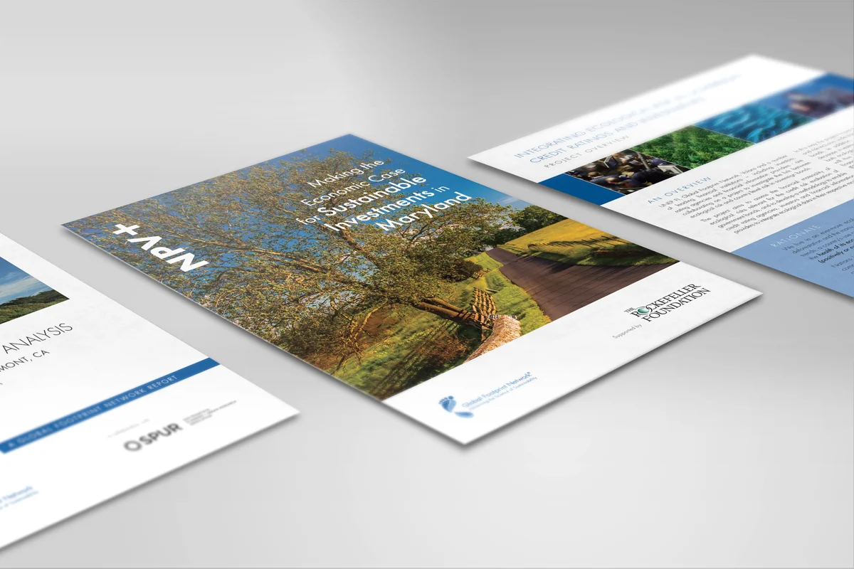 brochures.jpg