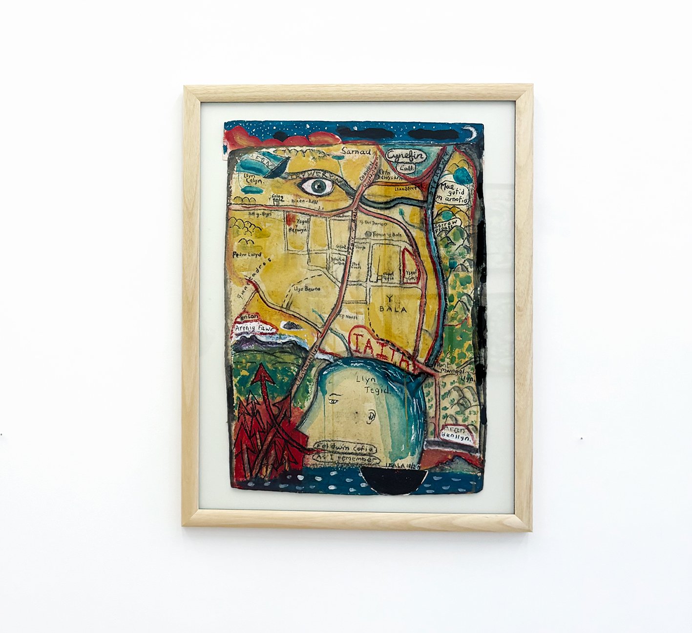 Iwan Bala, Cynefin Coll