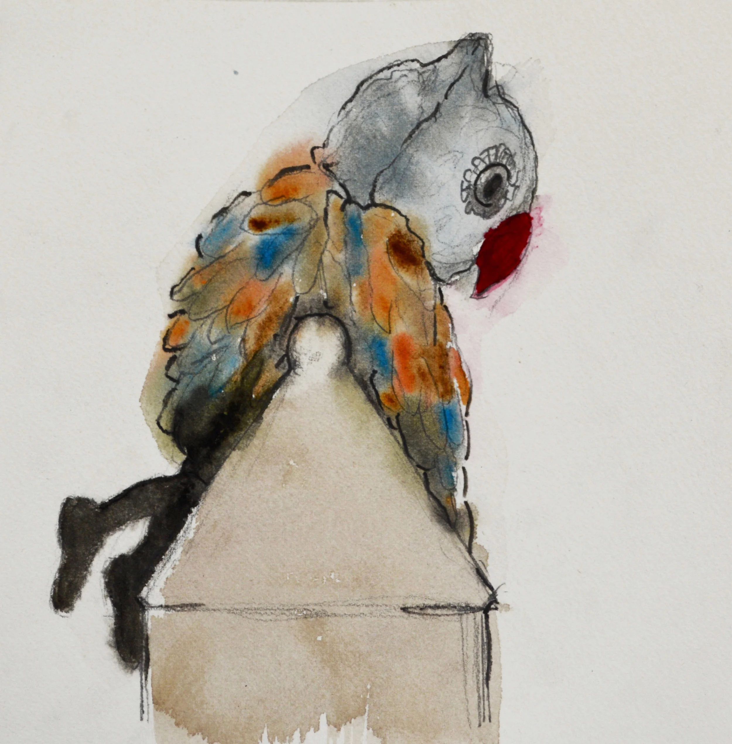 laura ford, owl from the side
