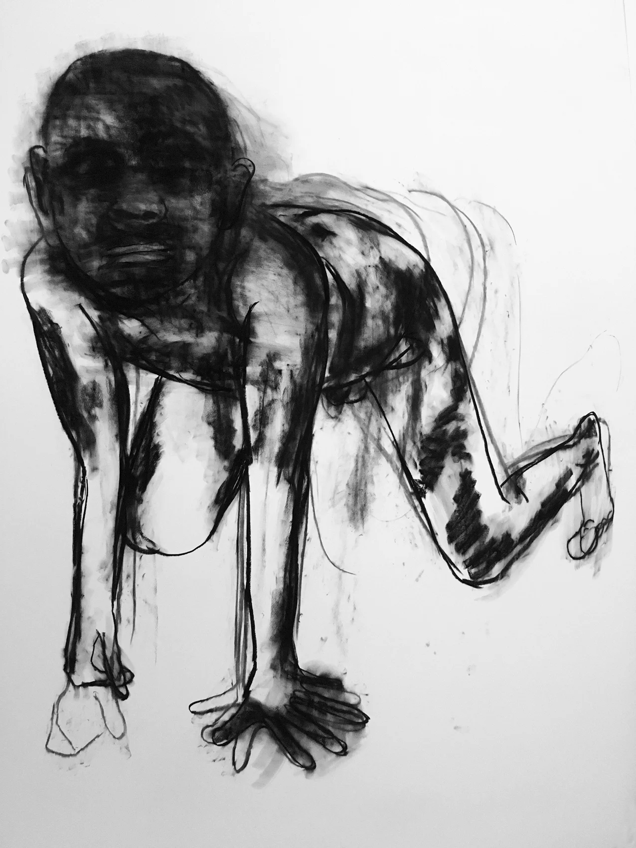 sue williams, view me 6