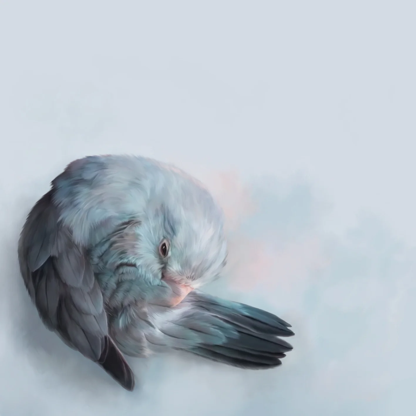 nmdl - little loves + hopes shall fly 2.jpg