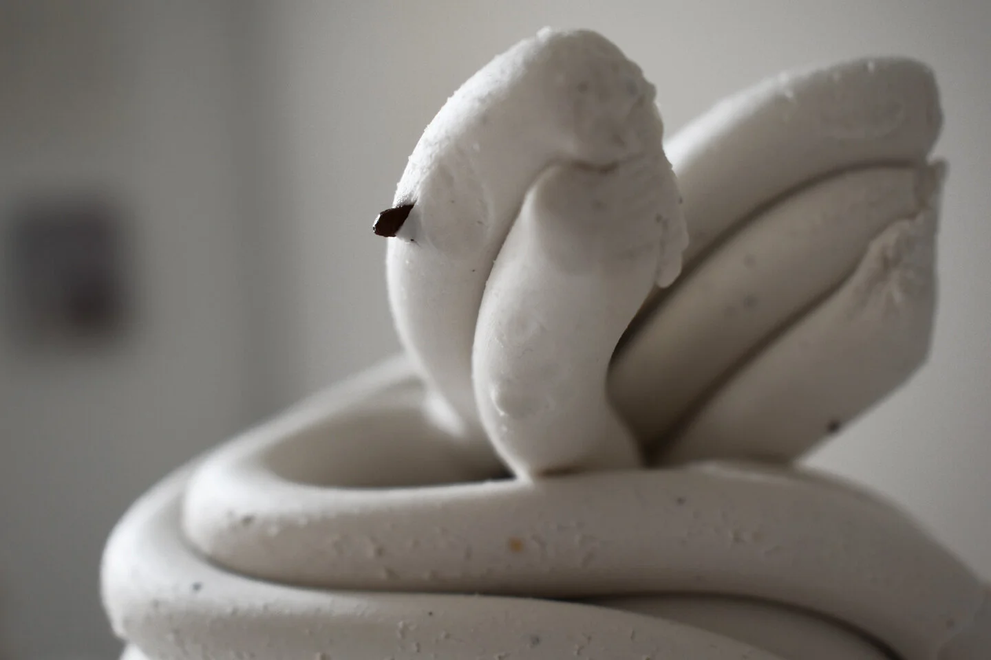 Carwyn Evans, Blagur | Bud