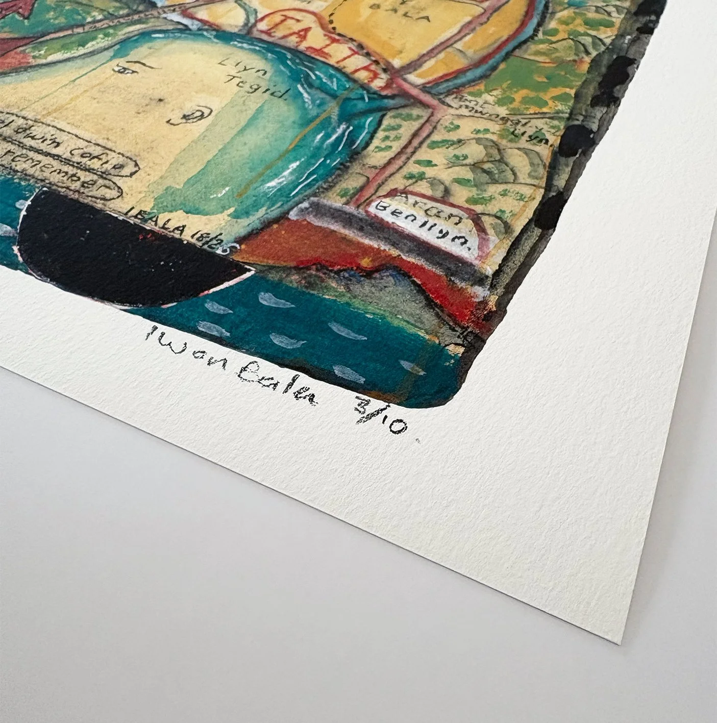 IB - cynefin print 1.jpg