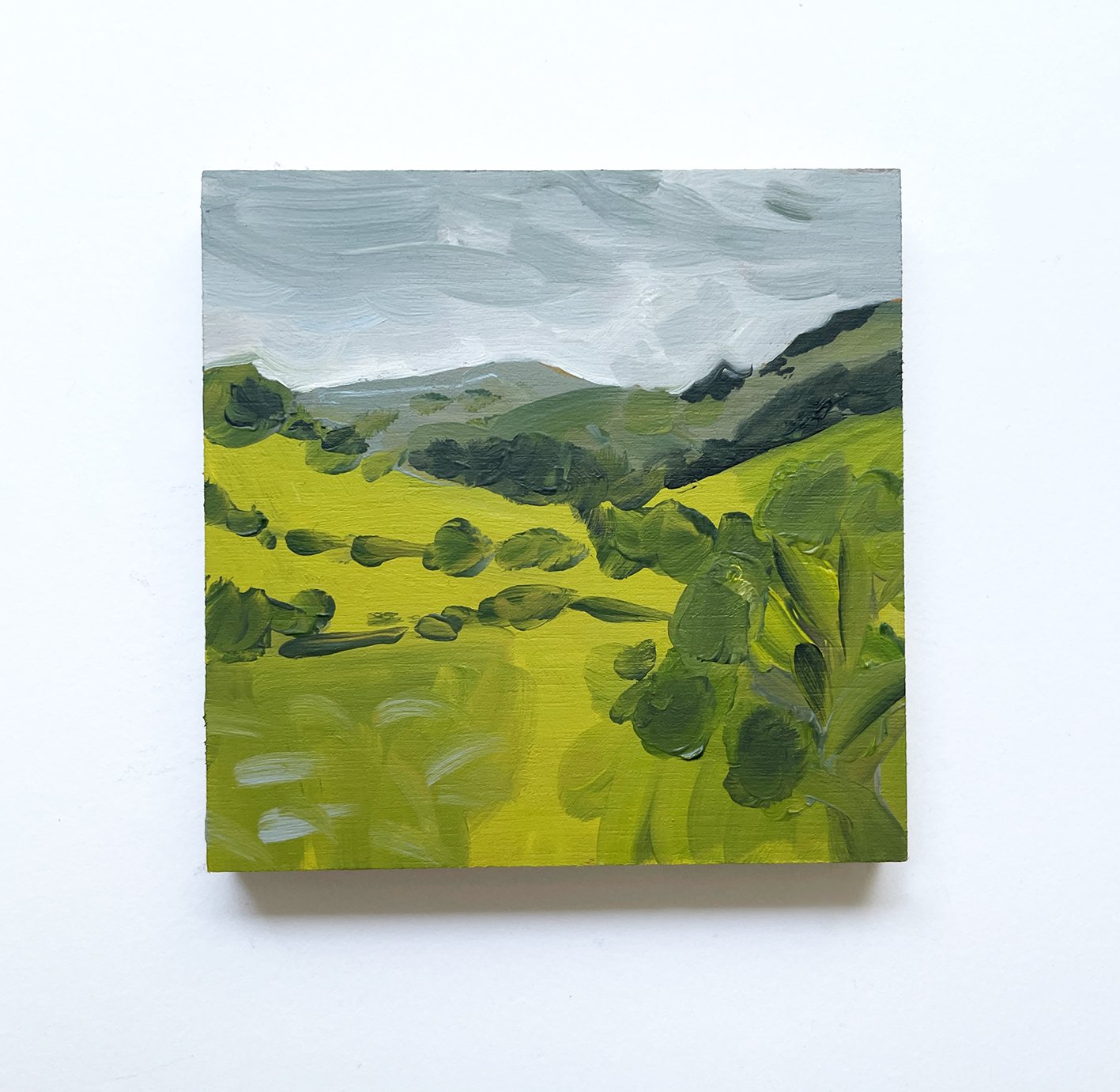 CLLE - Green Fields 72.jpg