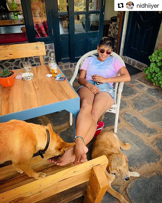 #Repost @nidhiiyer with @get_repost
・・・
Always happy to catch up with the doggies of the world &hearts;️ #India #MyIndianHoliday #MiniGetaway #Vacation #HappyPlace 📸: @tarinic