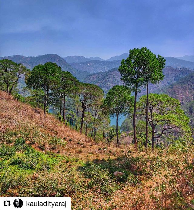 #Repost @kauladityaraj with @get_repost
・・・
In the lap of nature, far from the madness of life.