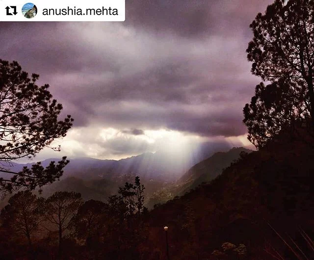 #Repost @anushia.mehta with @get_repost
・・・
Evening scenes @naveens_glen