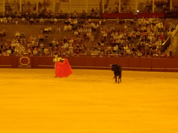 Seville photograph 36