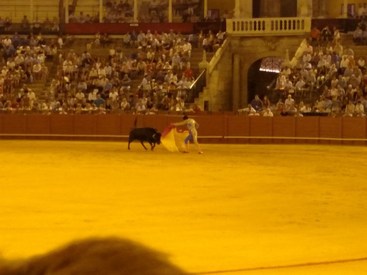 Seville photograph 53