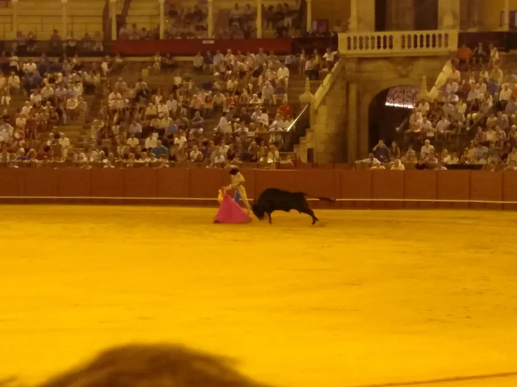 Seville photograph 97