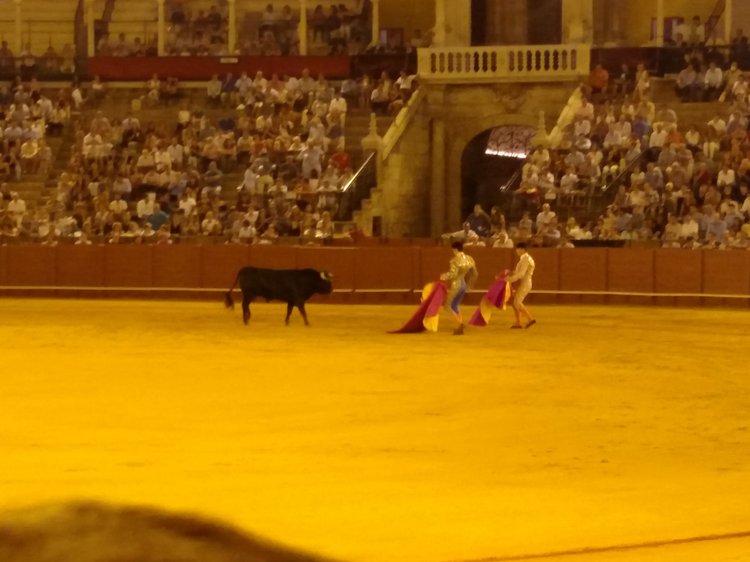 Seville photograph 74