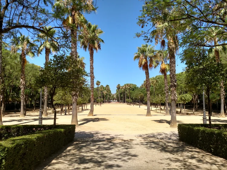 Seville photograph 11