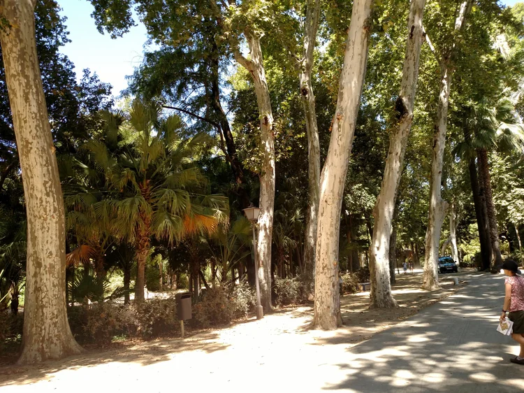 Seville photograph 89