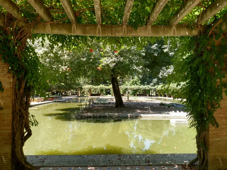 Seville photograph 62
