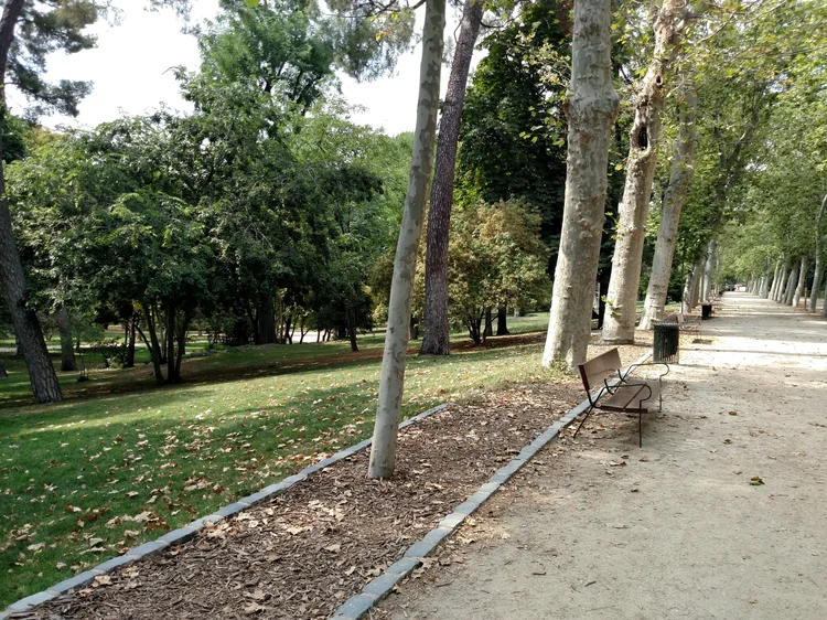 Madrid photograph 2