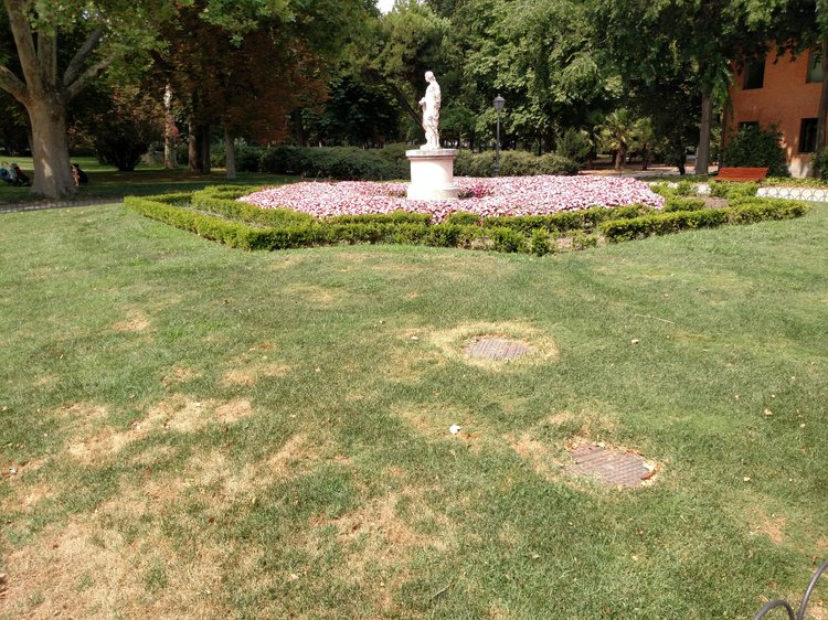 Madrid photograph 37