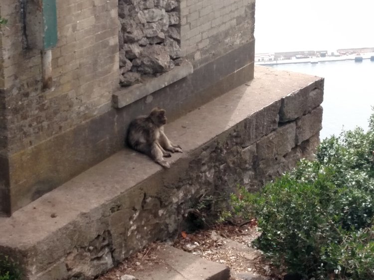 Gibraltar photograph 20