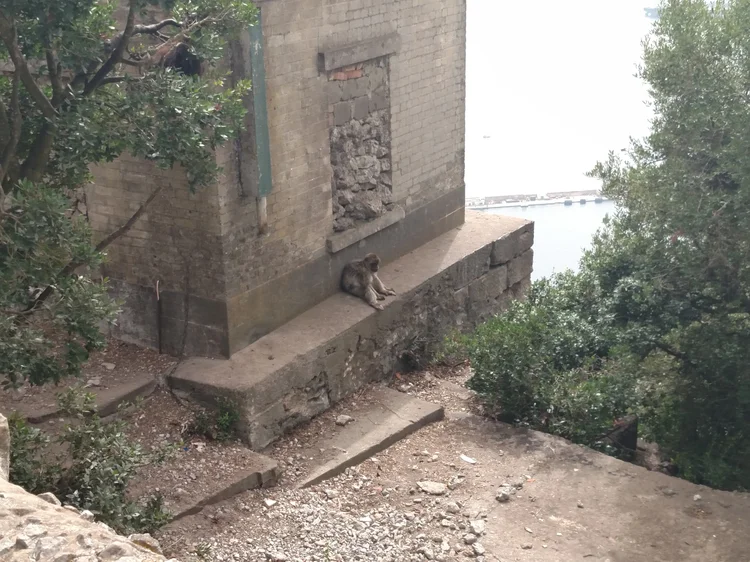 Gibraltar photograph 35