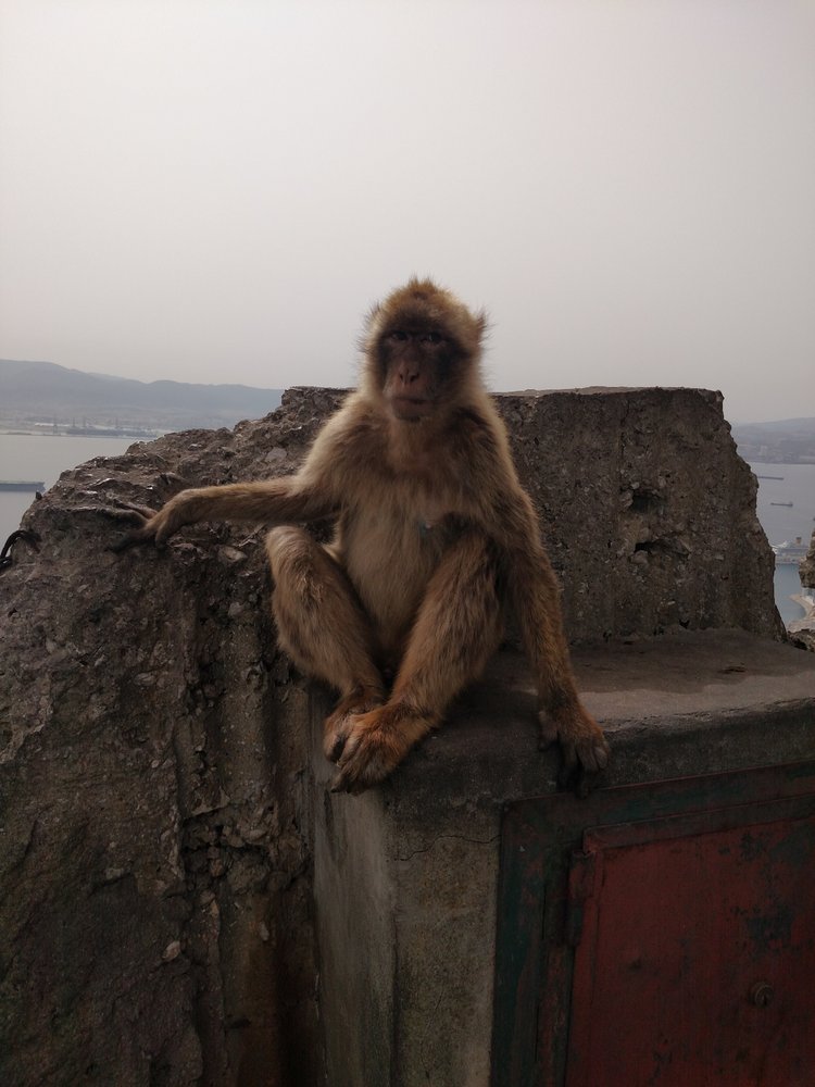 Gibraltar photograph 37
