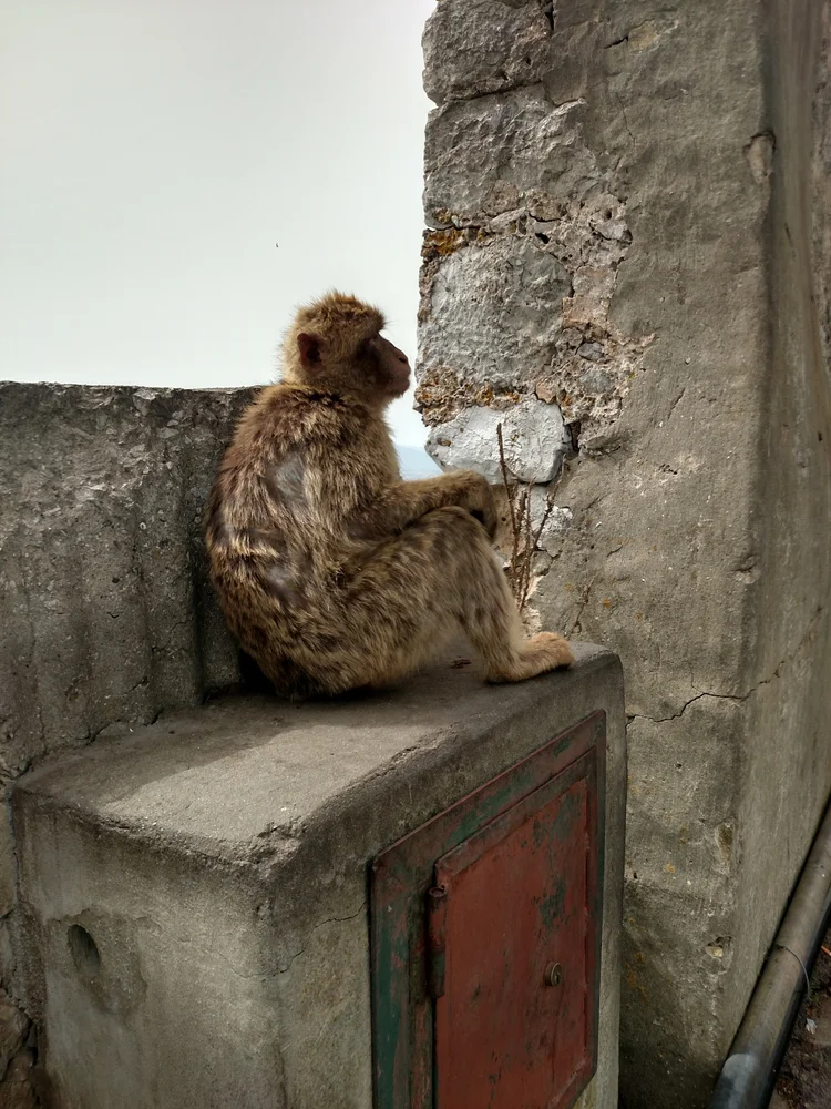 Gibraltar photograph 4