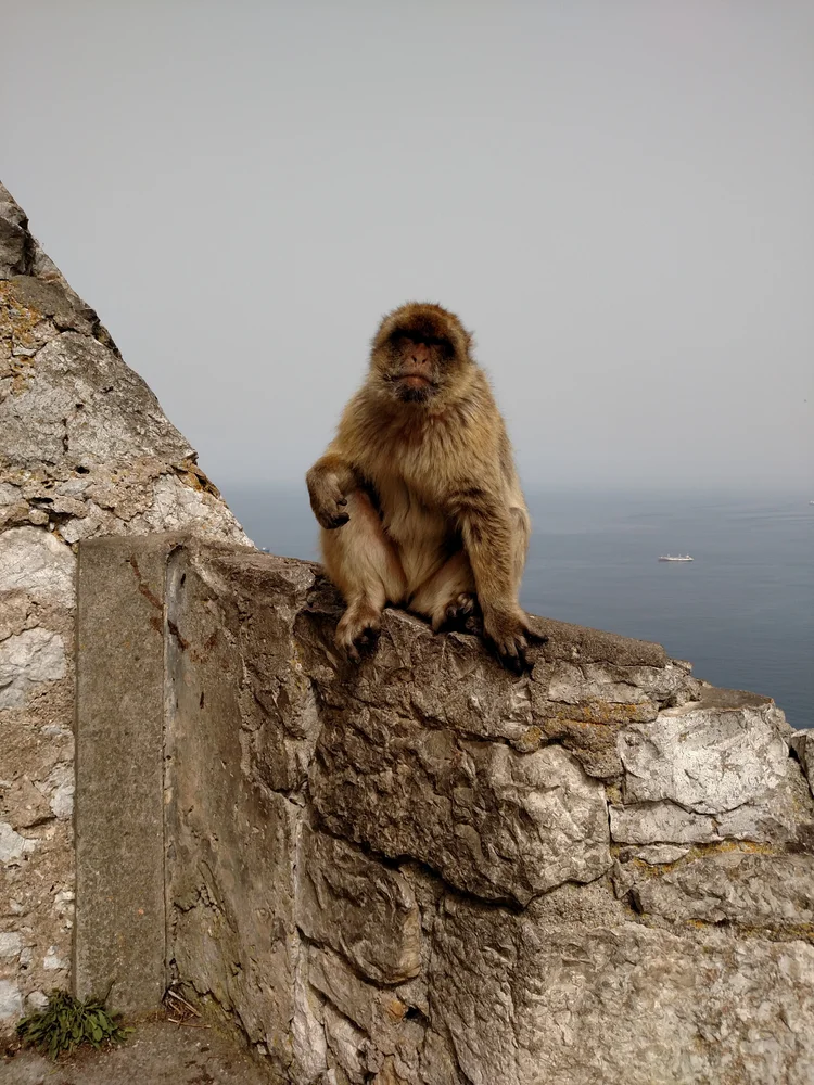 Gibraltar photograph 7