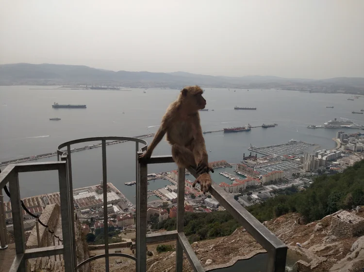 Gibraltar photograph 13