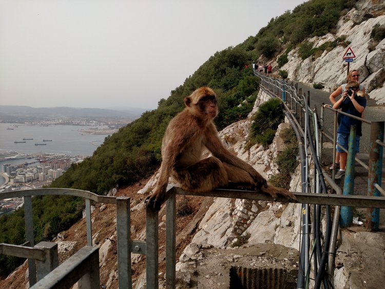 Gibraltar photograph 15