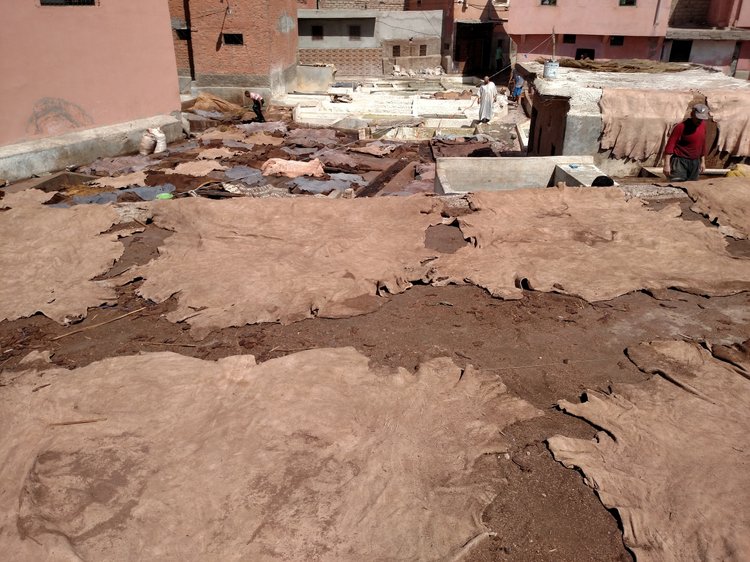Marrakesh photograph 27