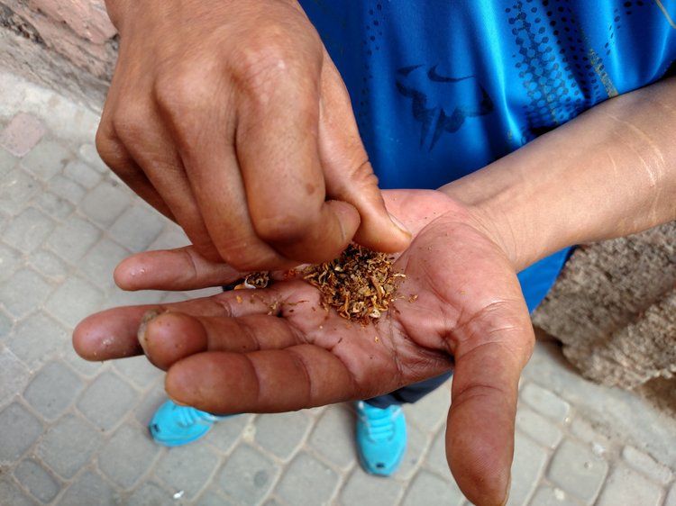 Marrakesh photograph 13