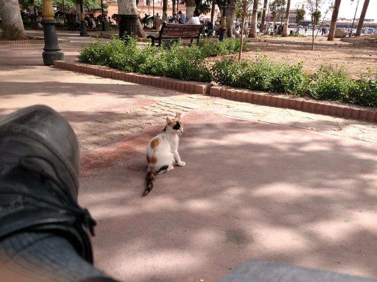 Marrakesh photograph 6