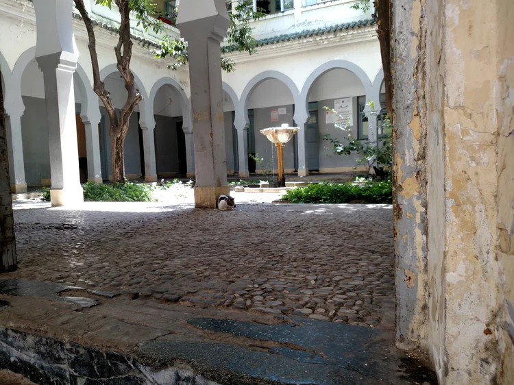 Tangier photograph 62