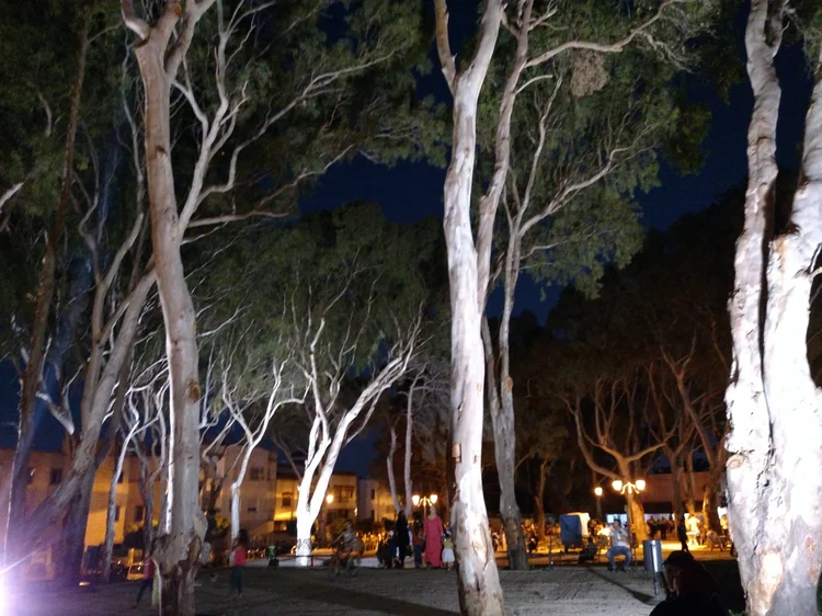Tangier photograph 54