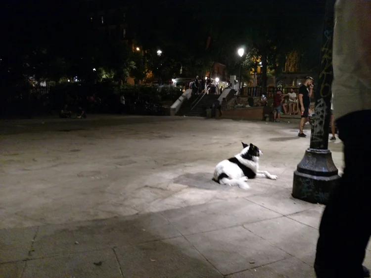 Madrid photograph 16