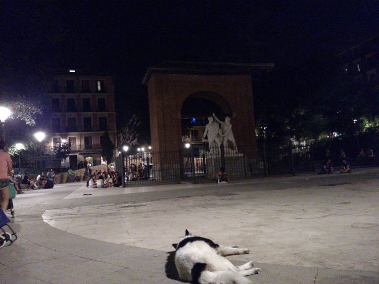 Madrid photograph 15