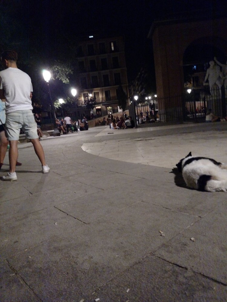 Madrid photograph 3