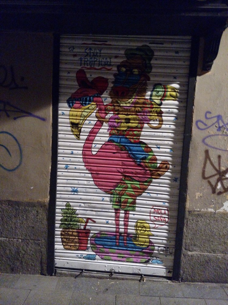 Madrid photograph 51