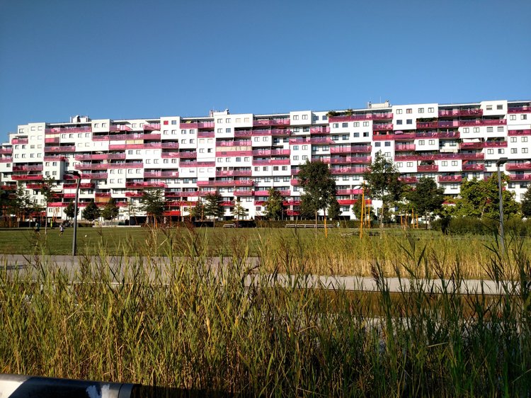 Vienna photograph 103