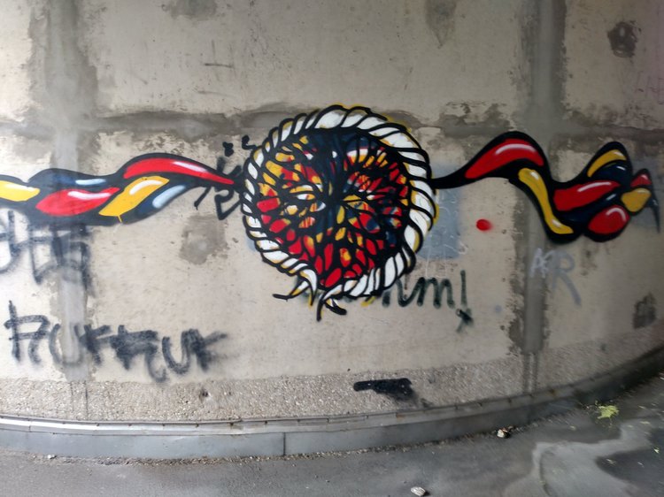 Vienna photograph 213