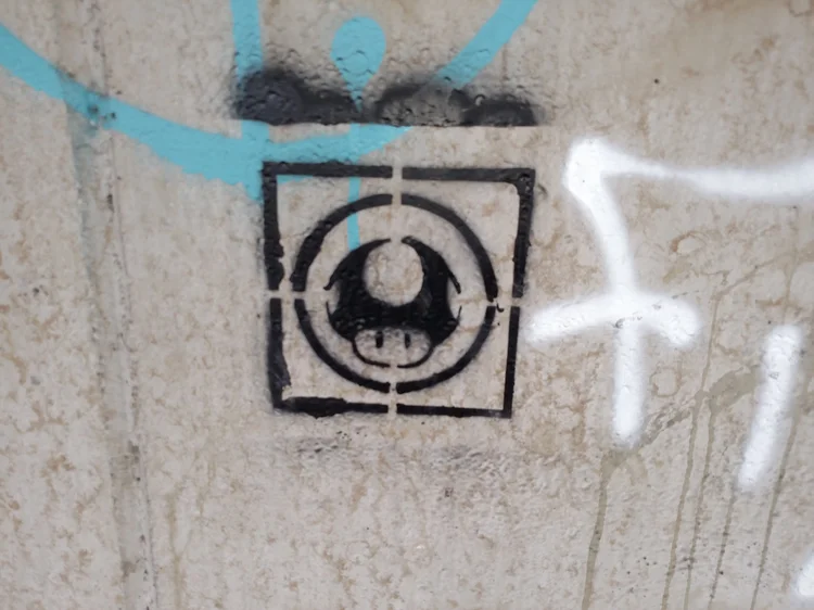Vienna photograph 117