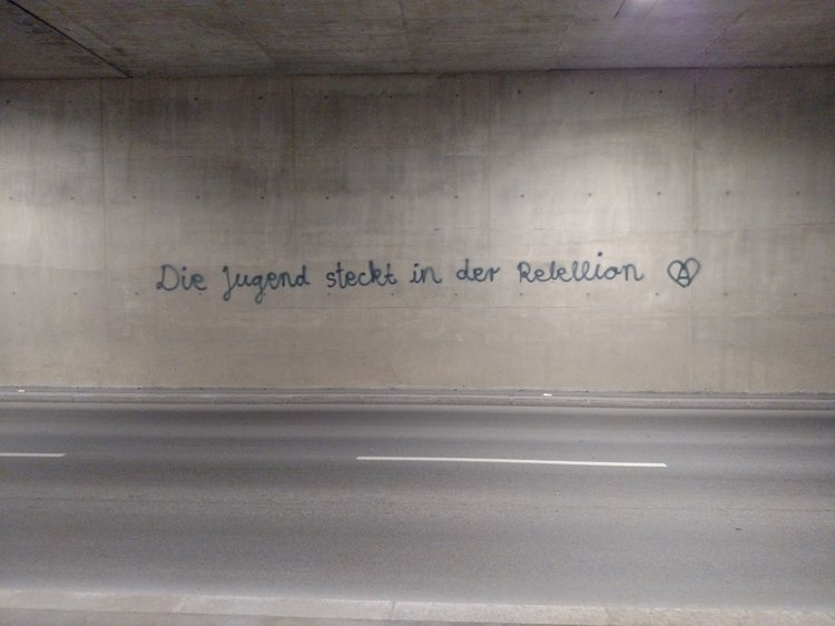 Vienna photograph 142
