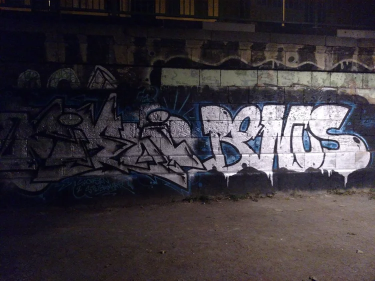 Vienna photograph 207
