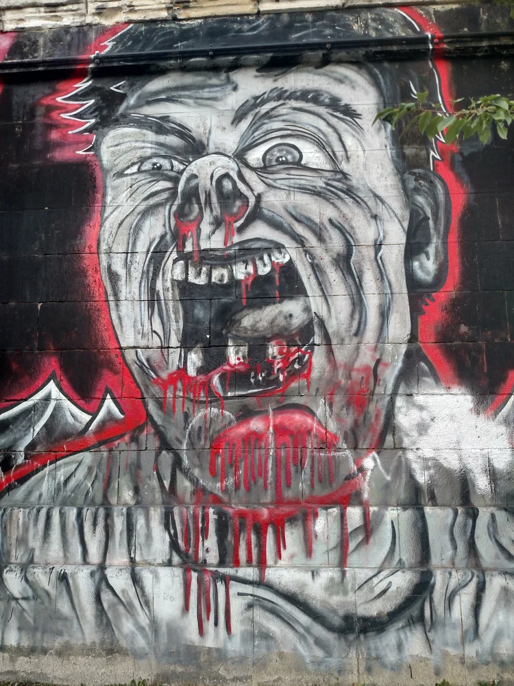 Vienna photograph 30