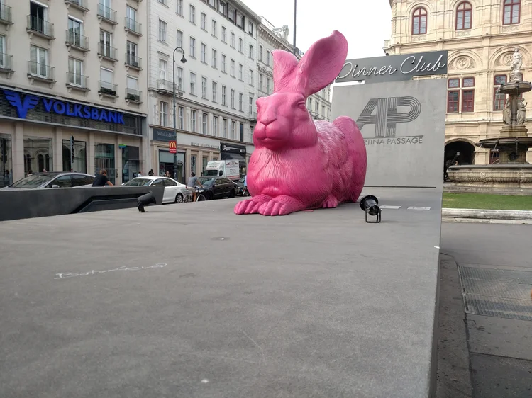 Vienna photograph 144
