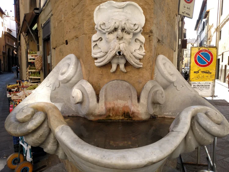 Florence photograph 41