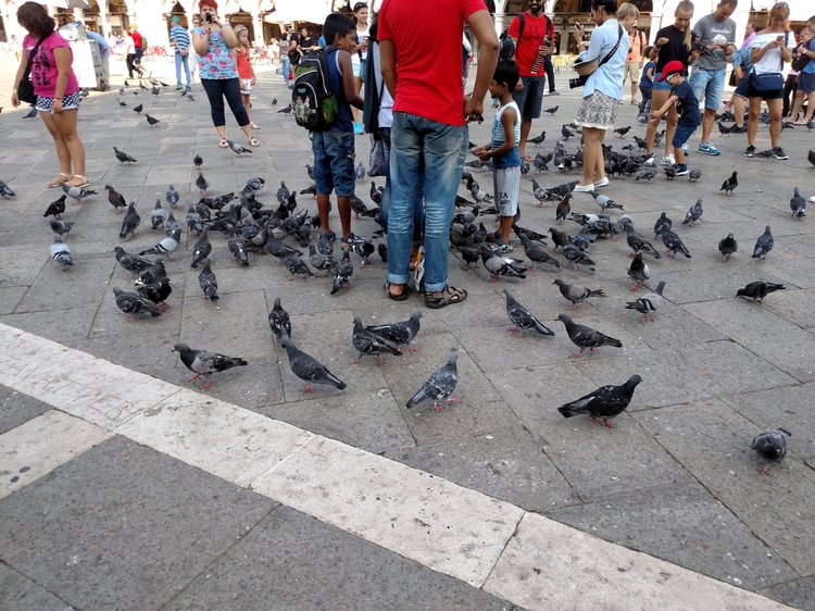 Venice photograph 54