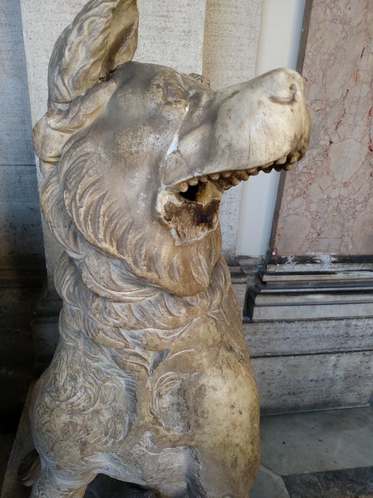 Rome photograph 63