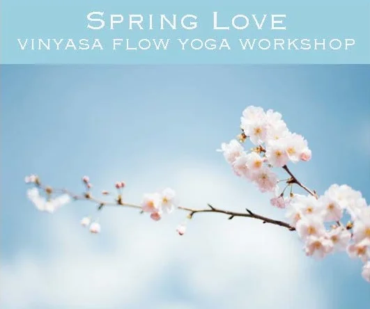 Yoga workshop, yoga class, lymington, hampshire, new forest.